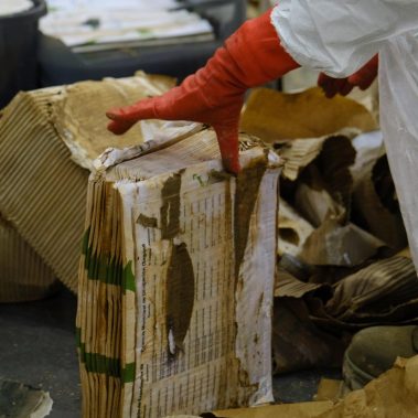 Trabajos de recuperacion en la Feria de Valencia